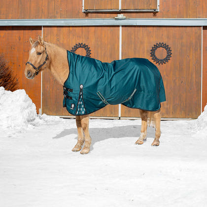 Equinavia Arktis Extended Neck Heavy Weight Turnout Blanket 300g