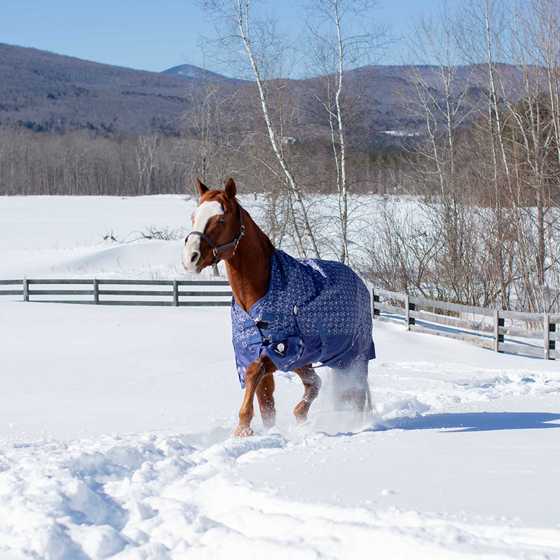 Equinavia Arktis Extended Neck Heavy Weight Turnout Blanket 300g