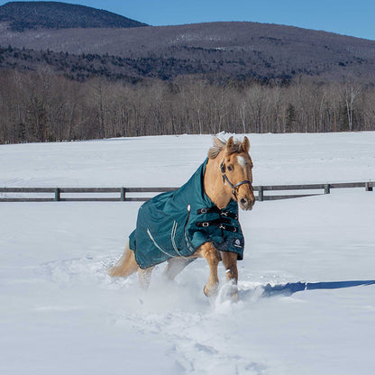 Equinavia Arktis Extended Neck Light Weight Turnout Blanket 100g