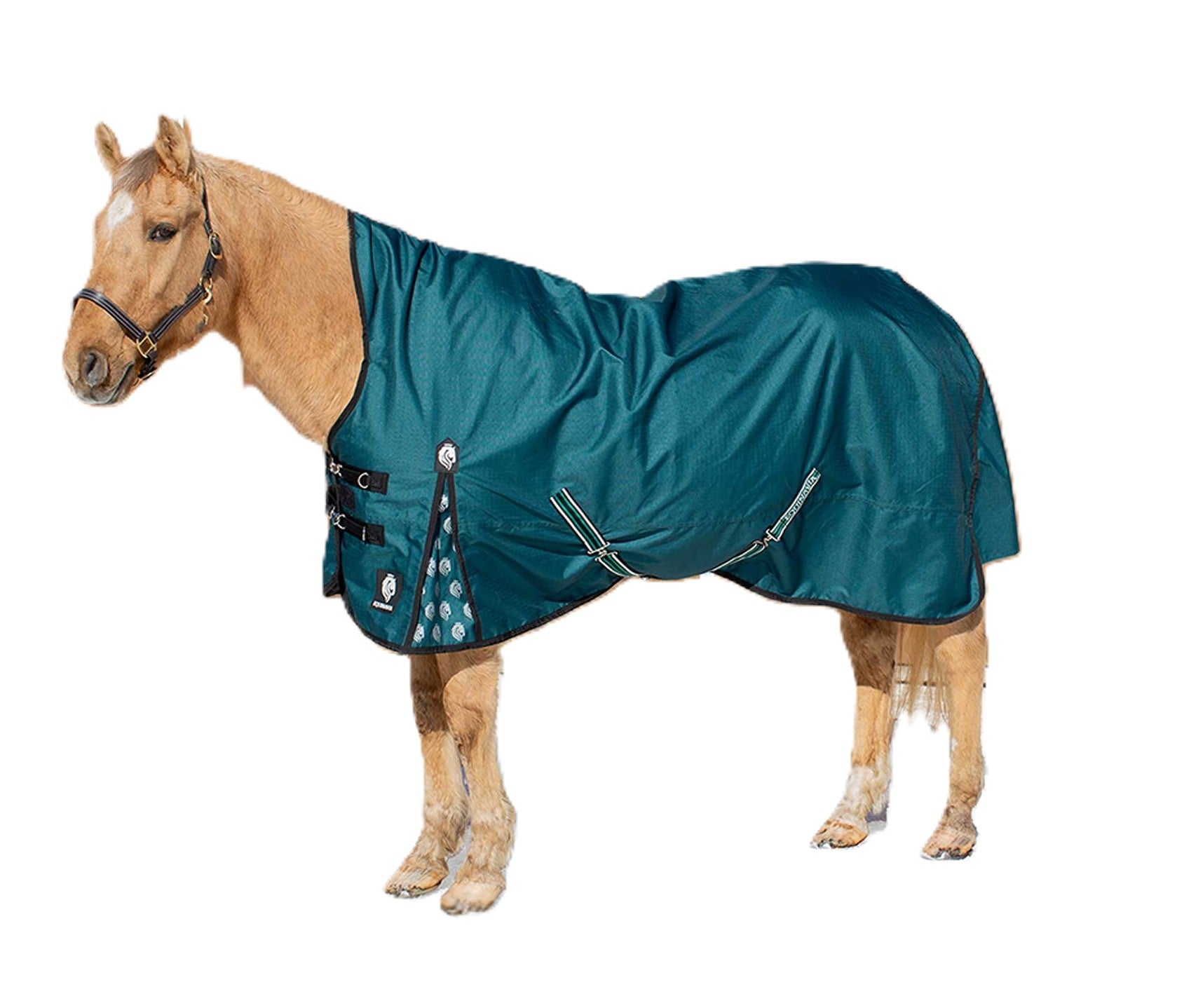 Equinavia Arktis Extended Neck Light Weight Turnout Blanket 100g