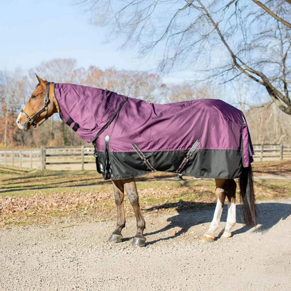 Equinavia Thunder360 Detachable Neck Mid Weight Turnout Blanket 200g