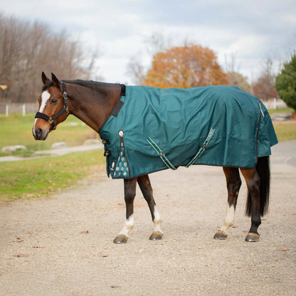 Equinavia Arktis Regular Neck Turnout Sheet