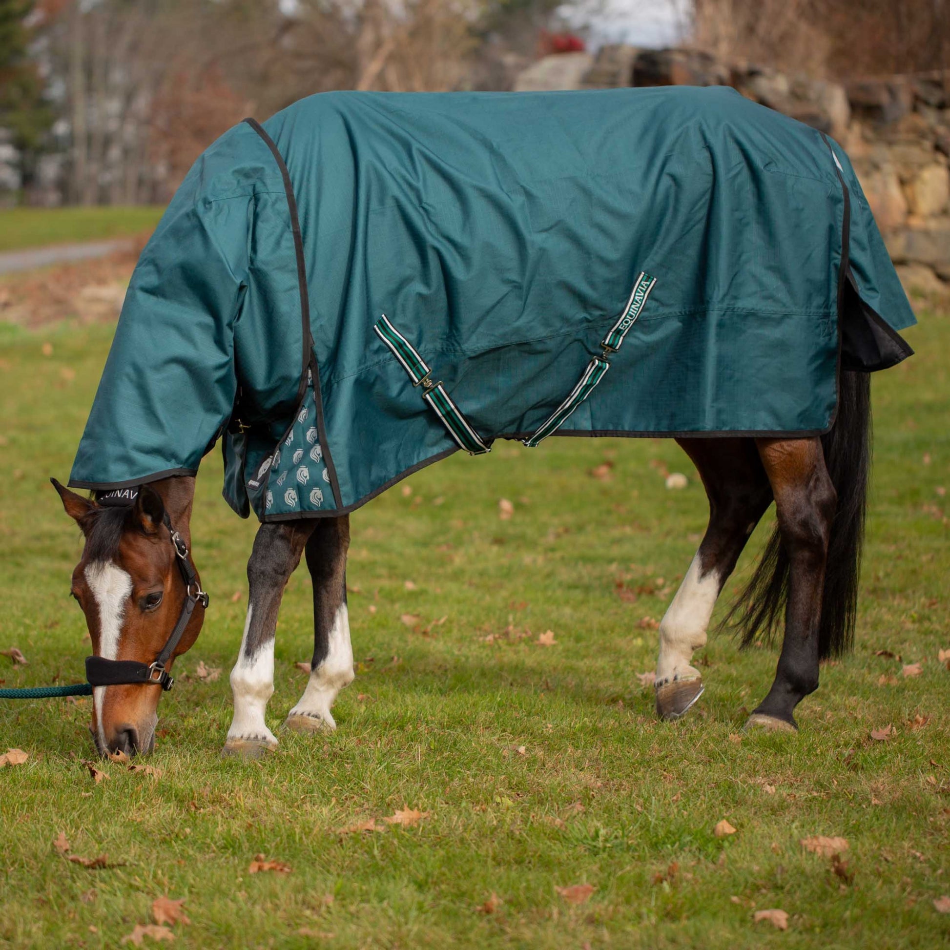 Equinavia Arktis Regular Neck Turnout Sheet