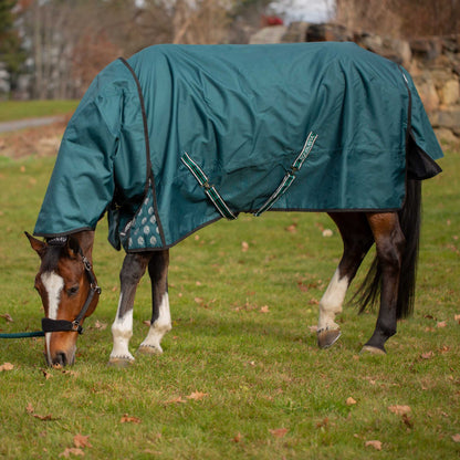 Equinavia Arktis Regular Neck Turnout Sheet