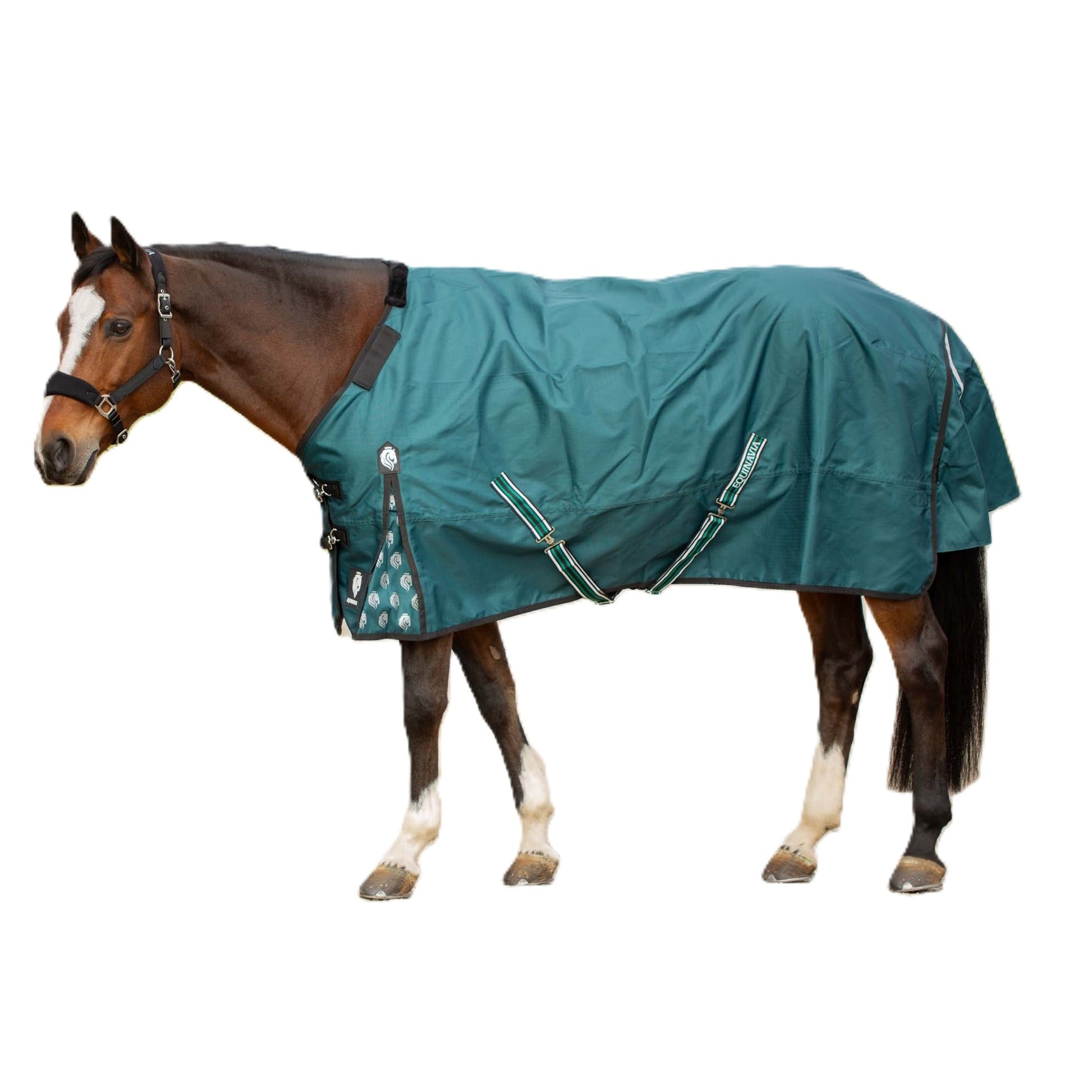 Equinavia Arktis Regular Neck Turnout Sheet