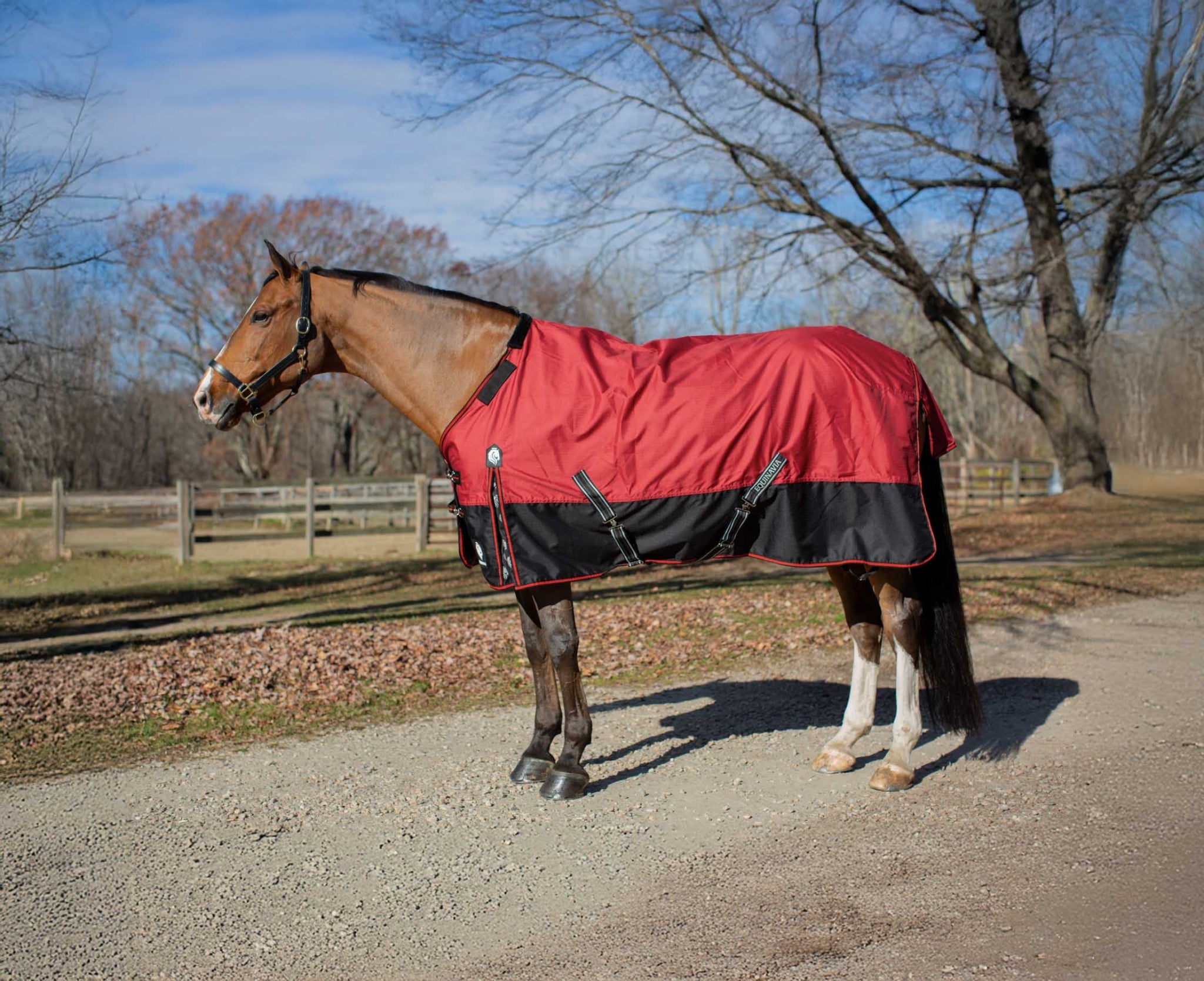 Equinavia Norse Heavy Weight Turnout Blanket 300g