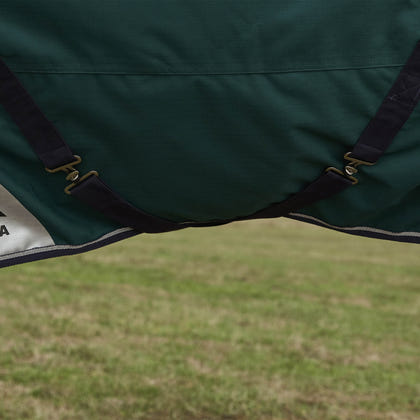 Weatherbeeta ComFiTec Plus Dynamic Turnout Standard Neck 0g