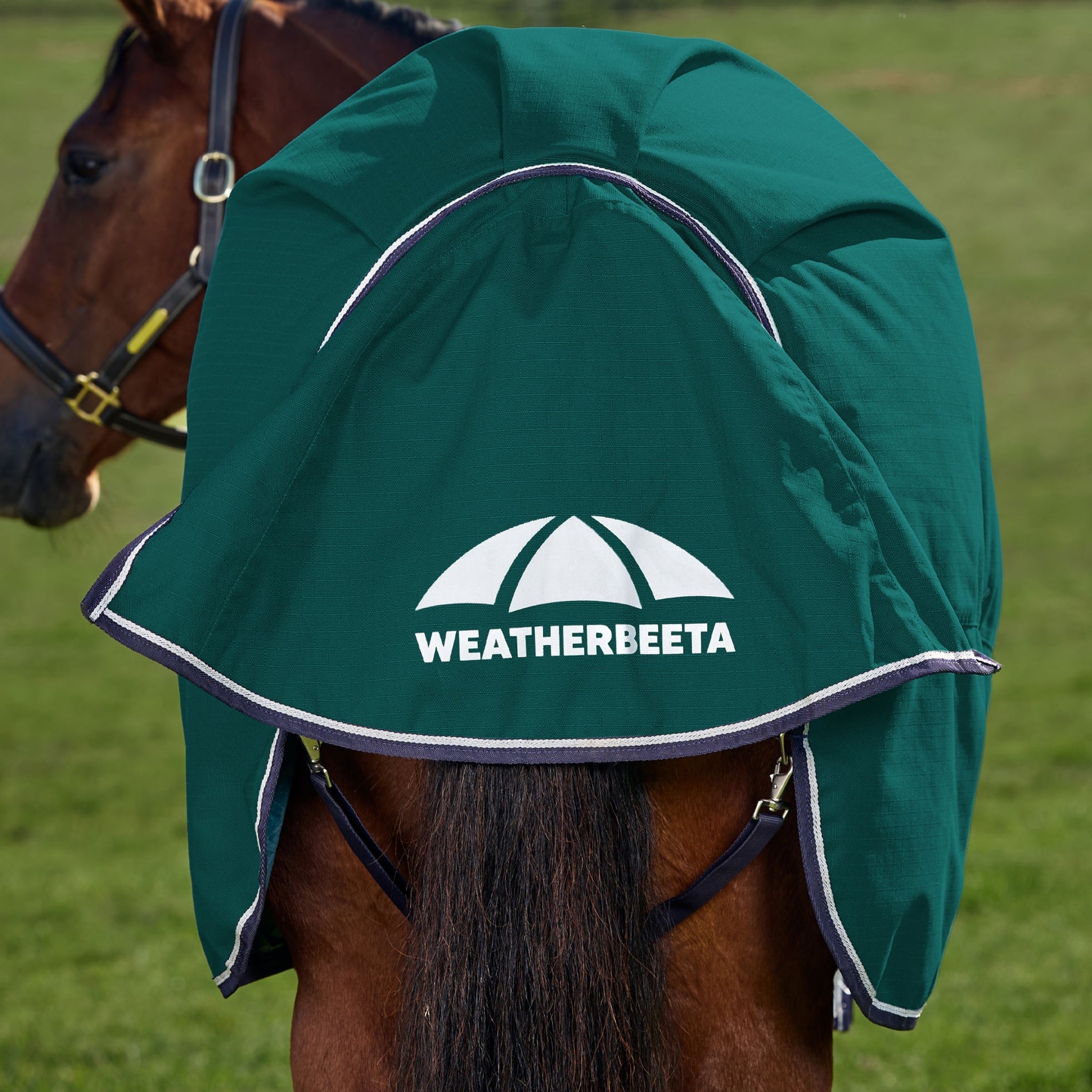 Weatherbeeta ComFiTec Plus Dynamic Turnout Standard Neck 0g