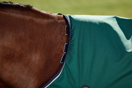 Weatherbeeta ComFiTec Plus Dynamic Turnout Standard Neck 0g