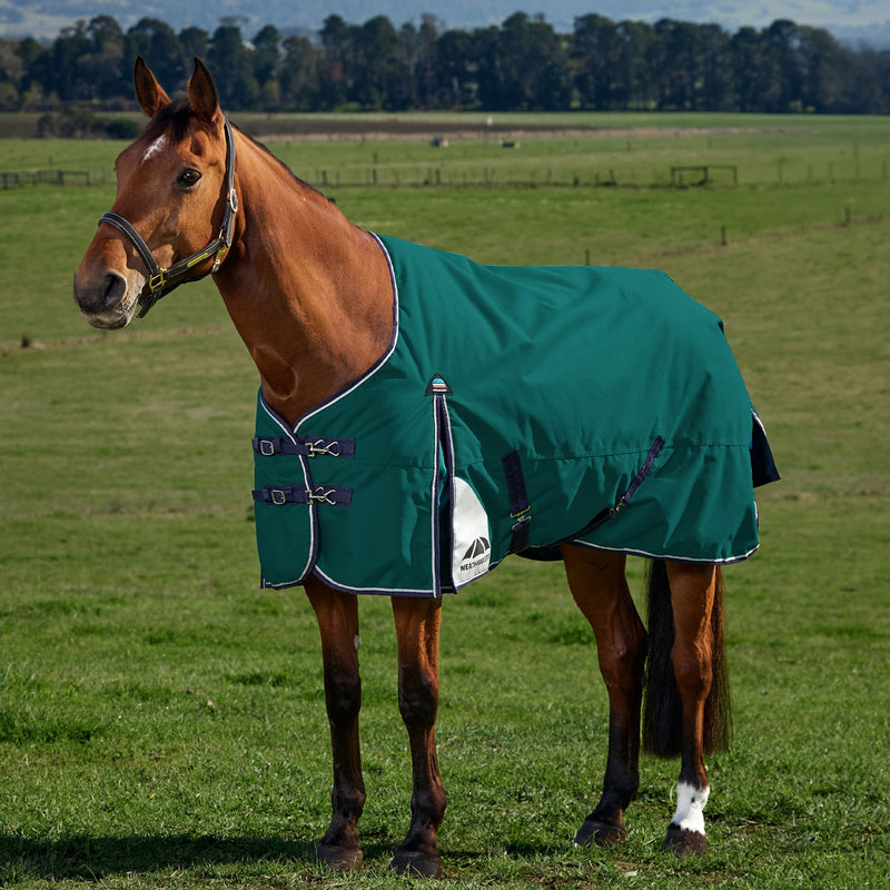 Weatherbeeta ComFiTec Plus Dynamic Turnout Standard Neck 0g