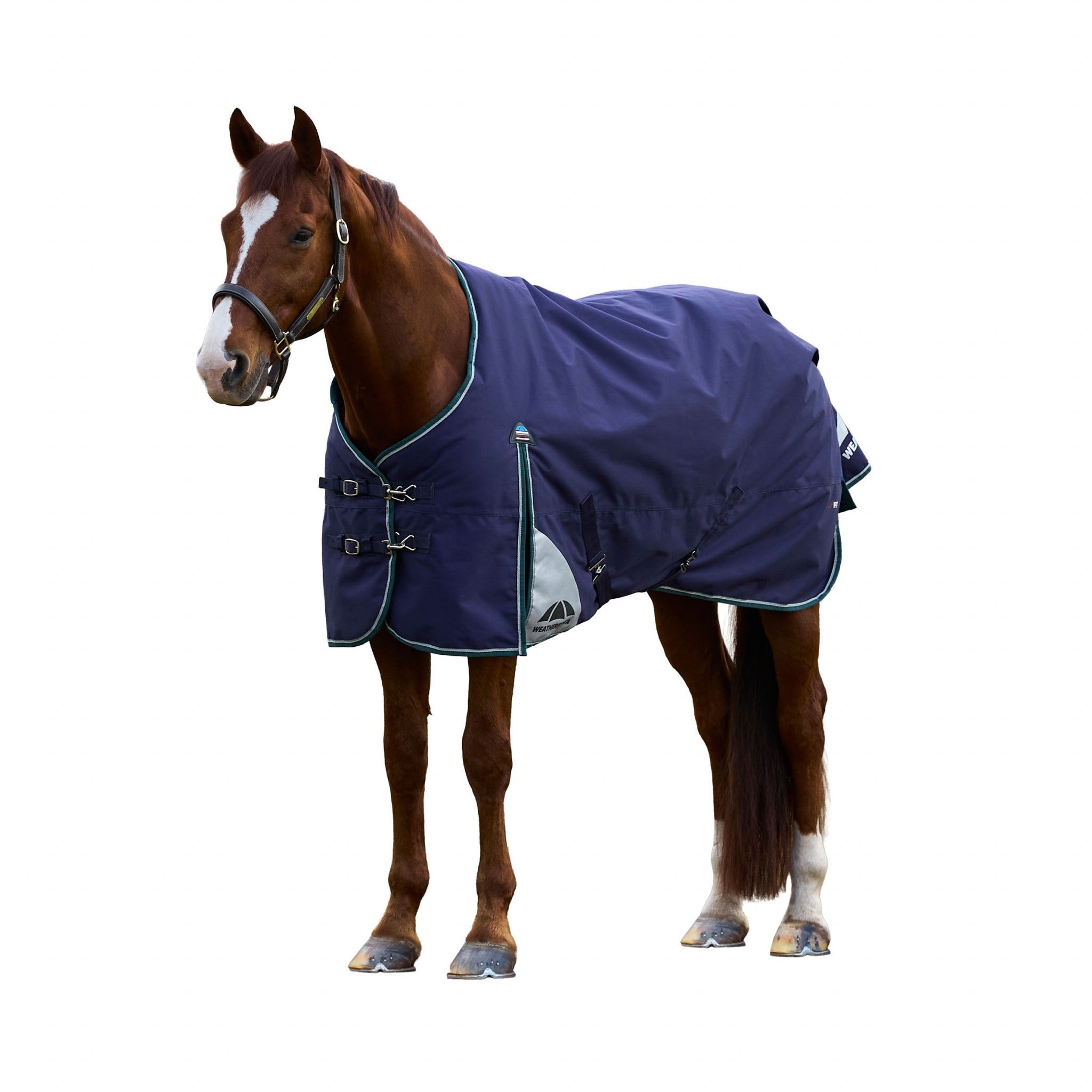 Weatherbeeta ComFiTec Plus Dynamic Turnout Standard Neck 0g