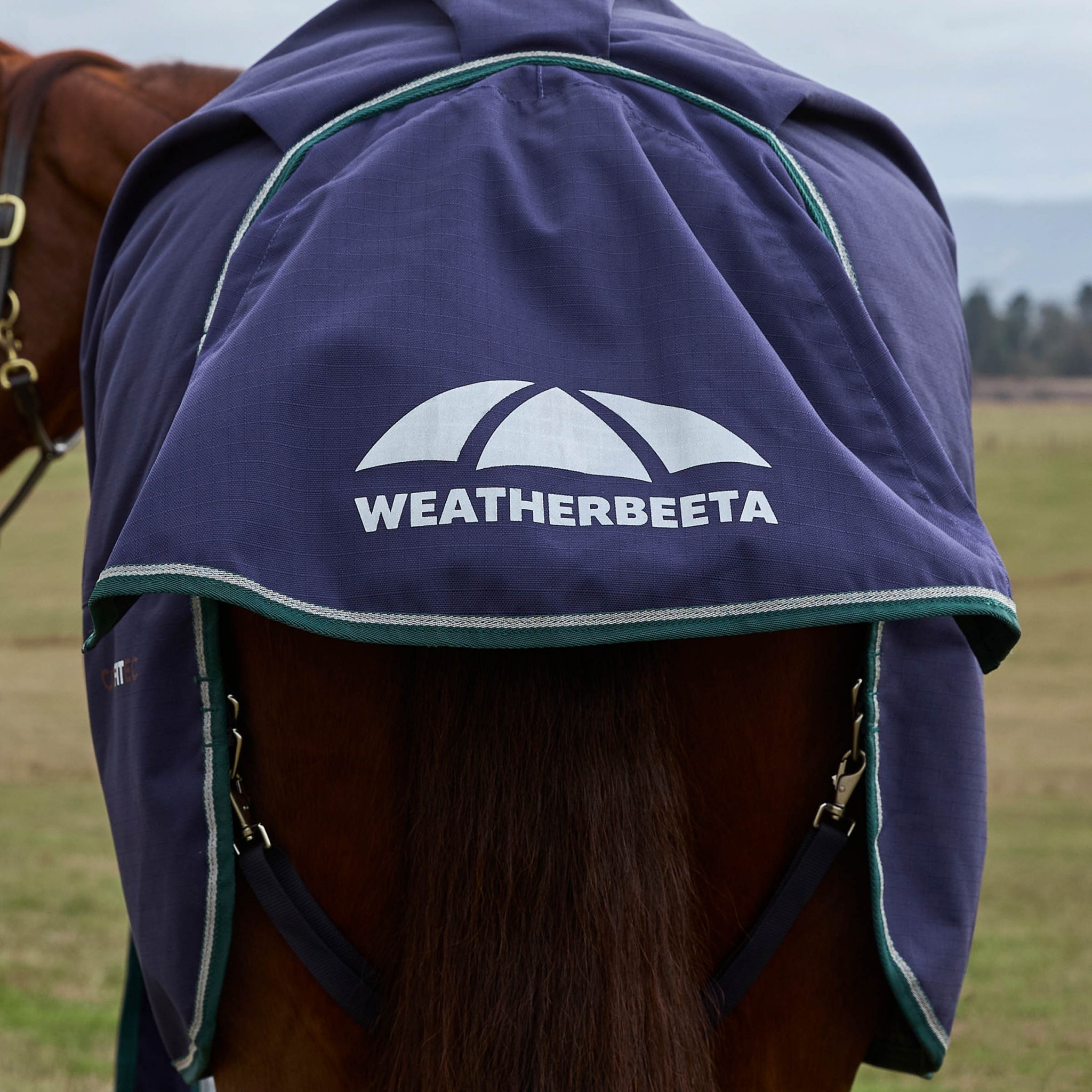 Weatherbeeta ComFiTec Plus Dynamic Turnout Standard Neck 0g