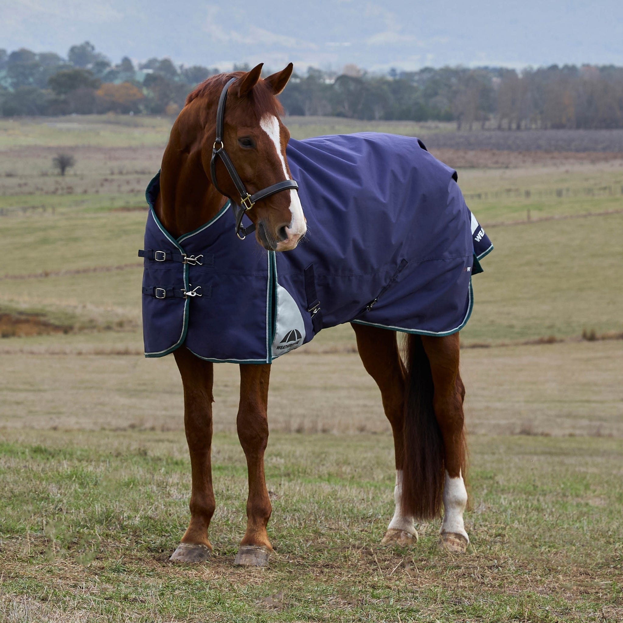 Weatherbeeta ComFiTec Plus Dynamic Turnout Standard Neck 0g