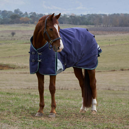 Weatherbeeta ComFiTec Plus Dynamic Turnout Standard Neck 0g