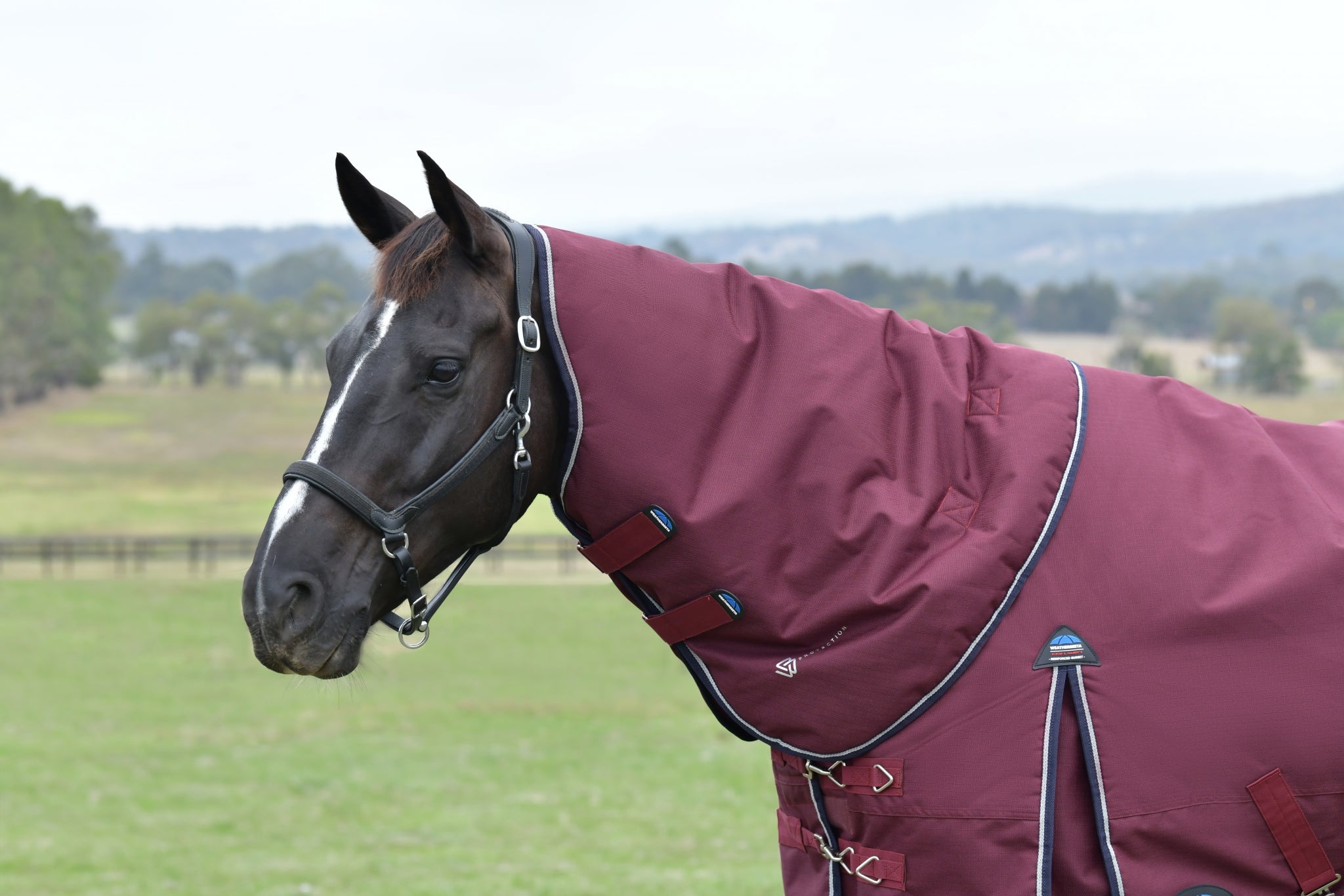 Weatherbeeta ComFiTec Essential Turnout Detach-A-Neck 220g