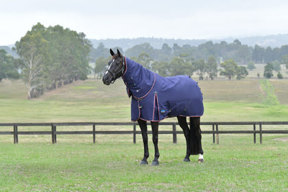 Weatherbeeta ComFiTec Essential Turnout Detach-A-Neck 220g