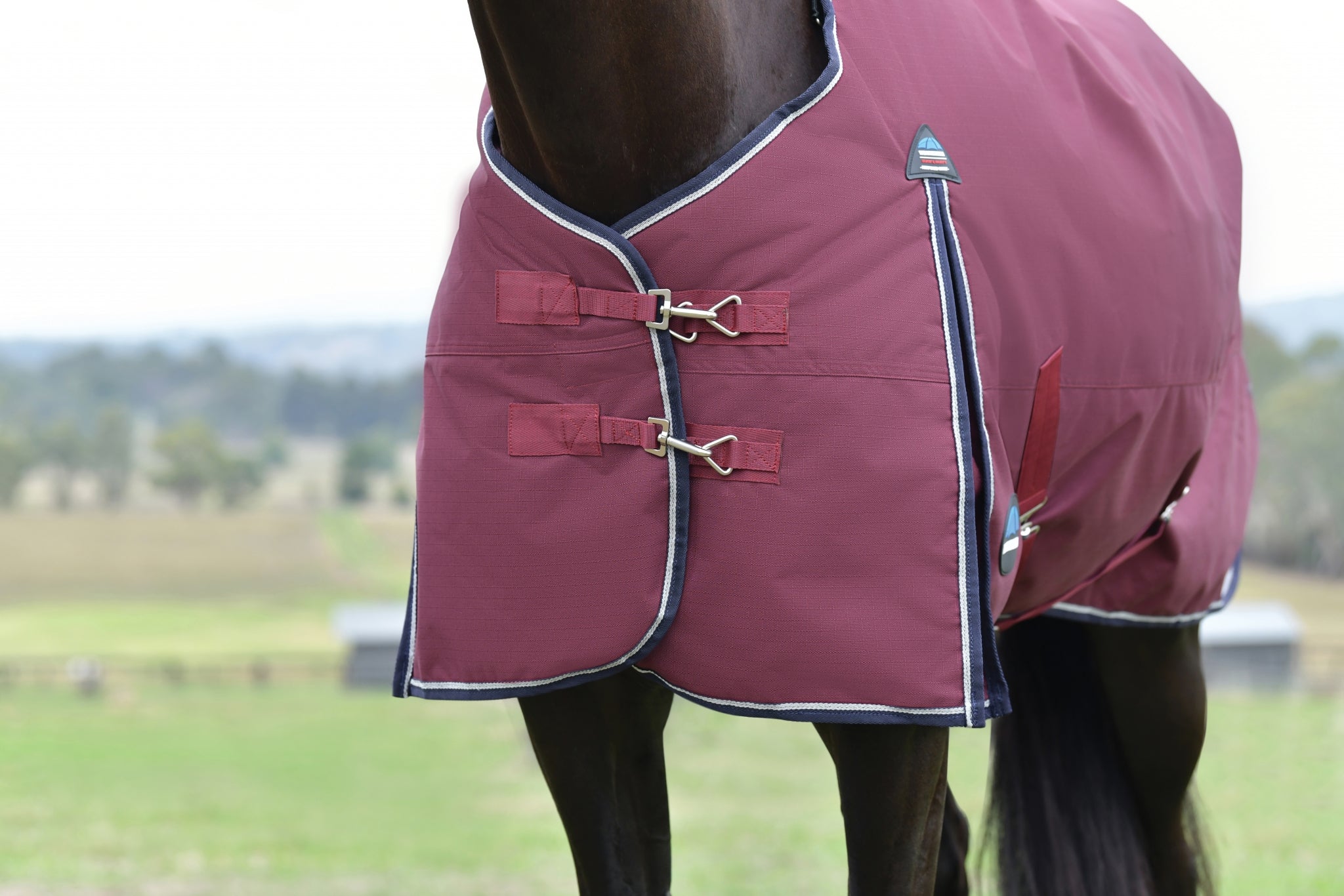 Weatherbeeta ComFiTec Essential Turnout Standard Neck 100g