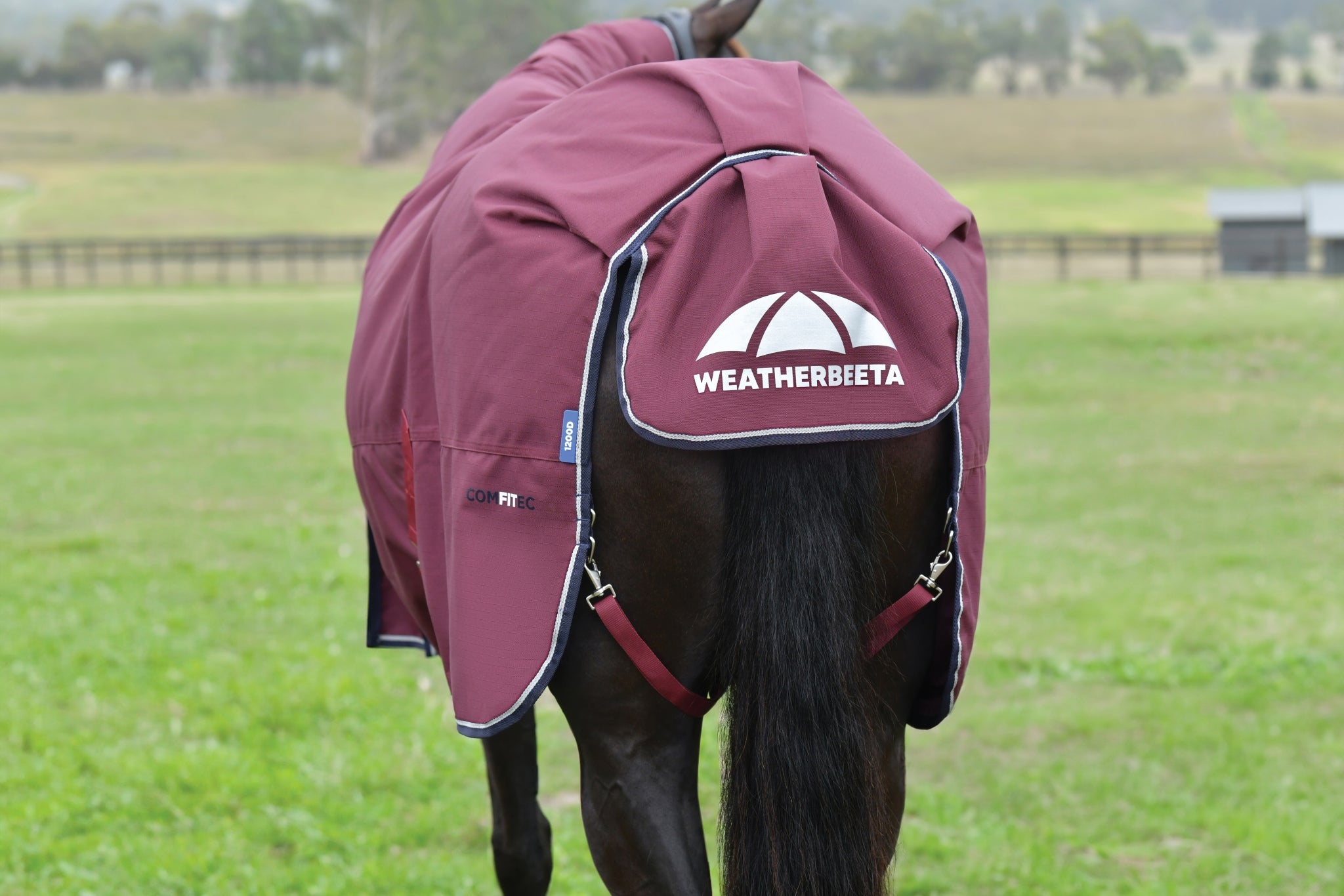 Weatherbeeta ComFiTec Essential Turnout Standard Neck 100g