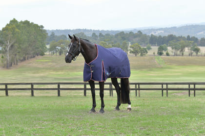 Weatherbeeta ComFiTec Essential Turnout Standard Neck 100g