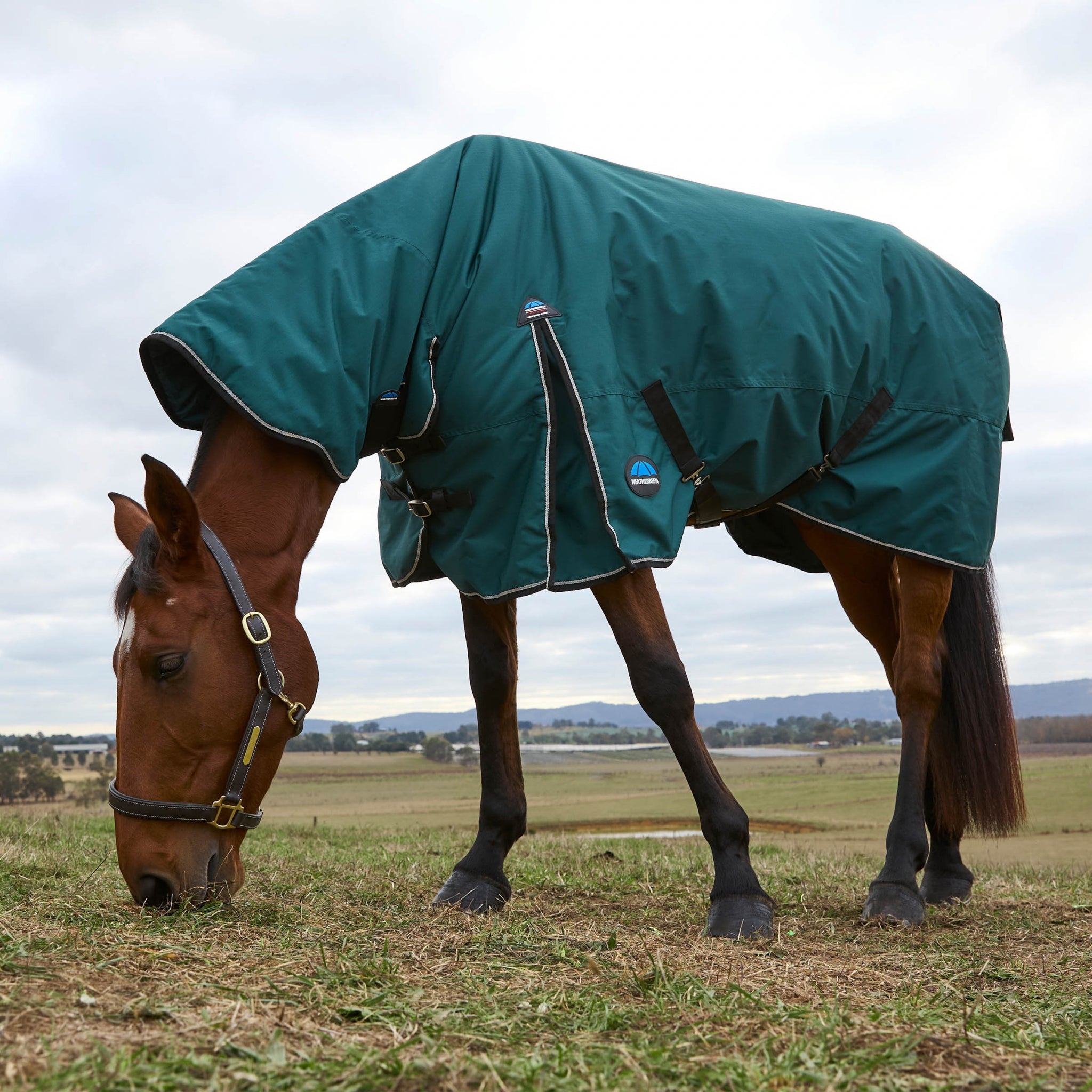 Weatherbeeta ComFiTec Classic Turnout Combo Neck 360g