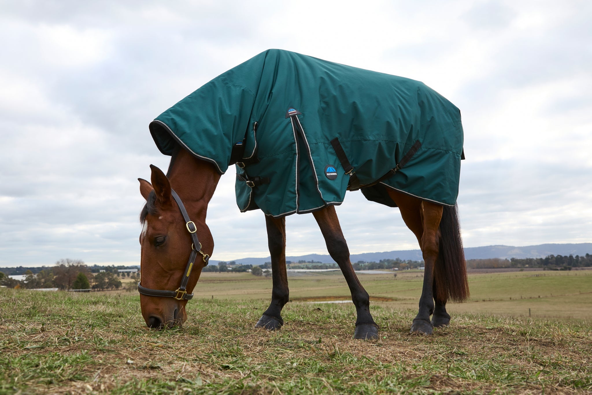 Weatherbeeta ComFiTec Classic Turnout Combo Neck 0g