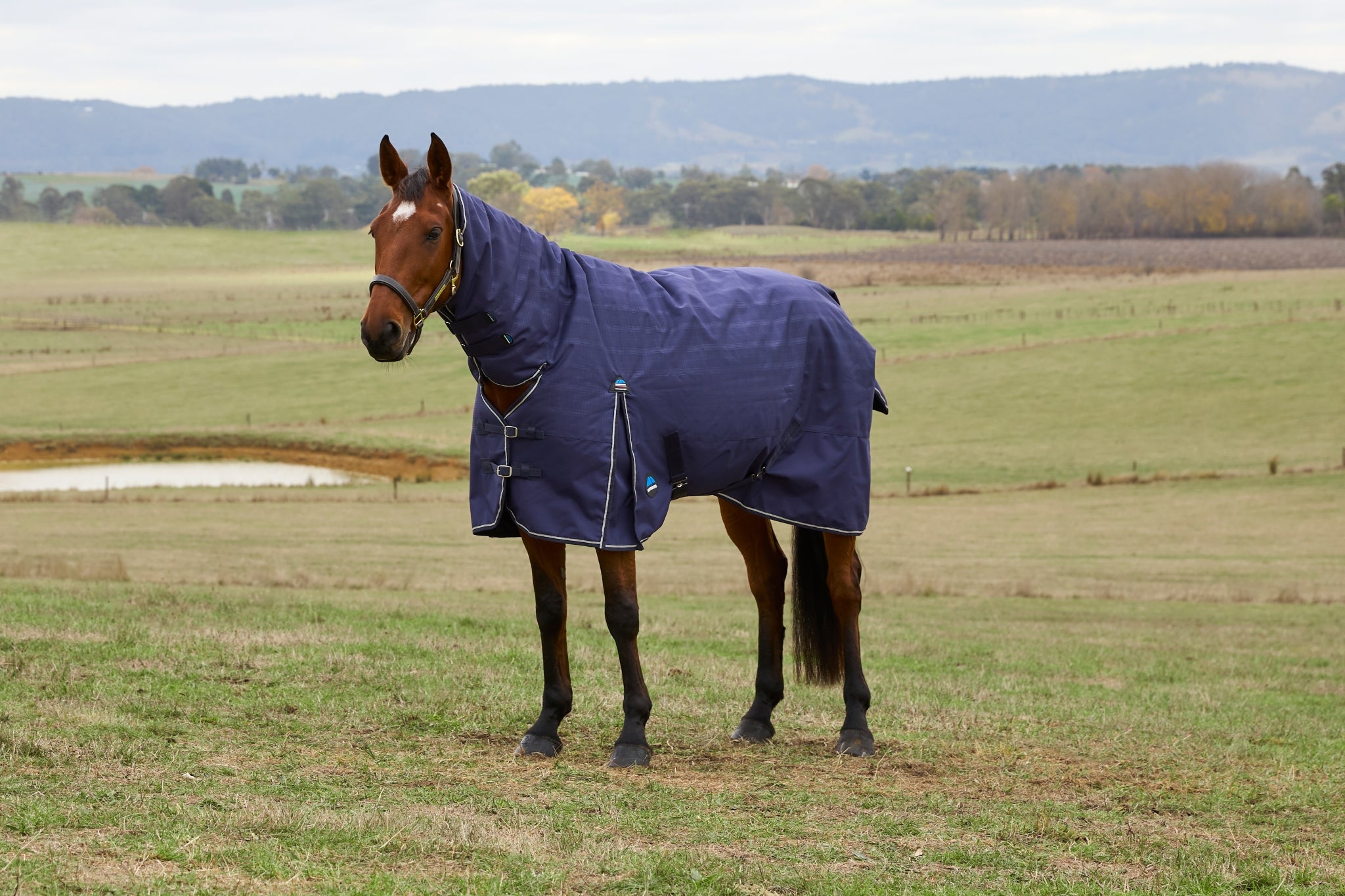 Weatherbeeta ComFiTec Prelim Turnout Combo Neck 0g