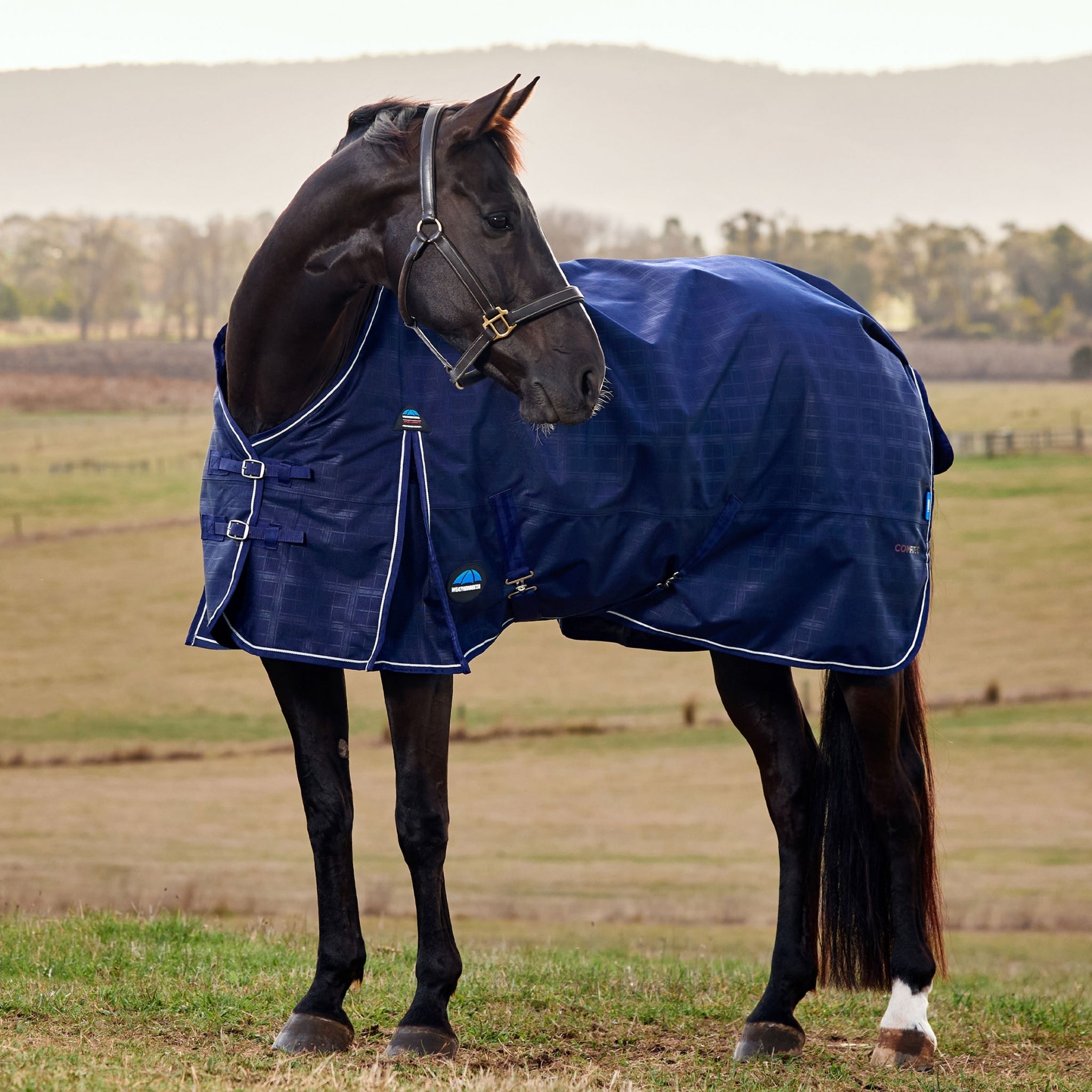 Weatherbeeta ComFiTec Prelim Turnout Standard Neck 360g