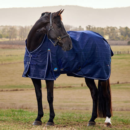 Weatherbeeta ComFiTec Prelim Turnout Standard Neck 360g