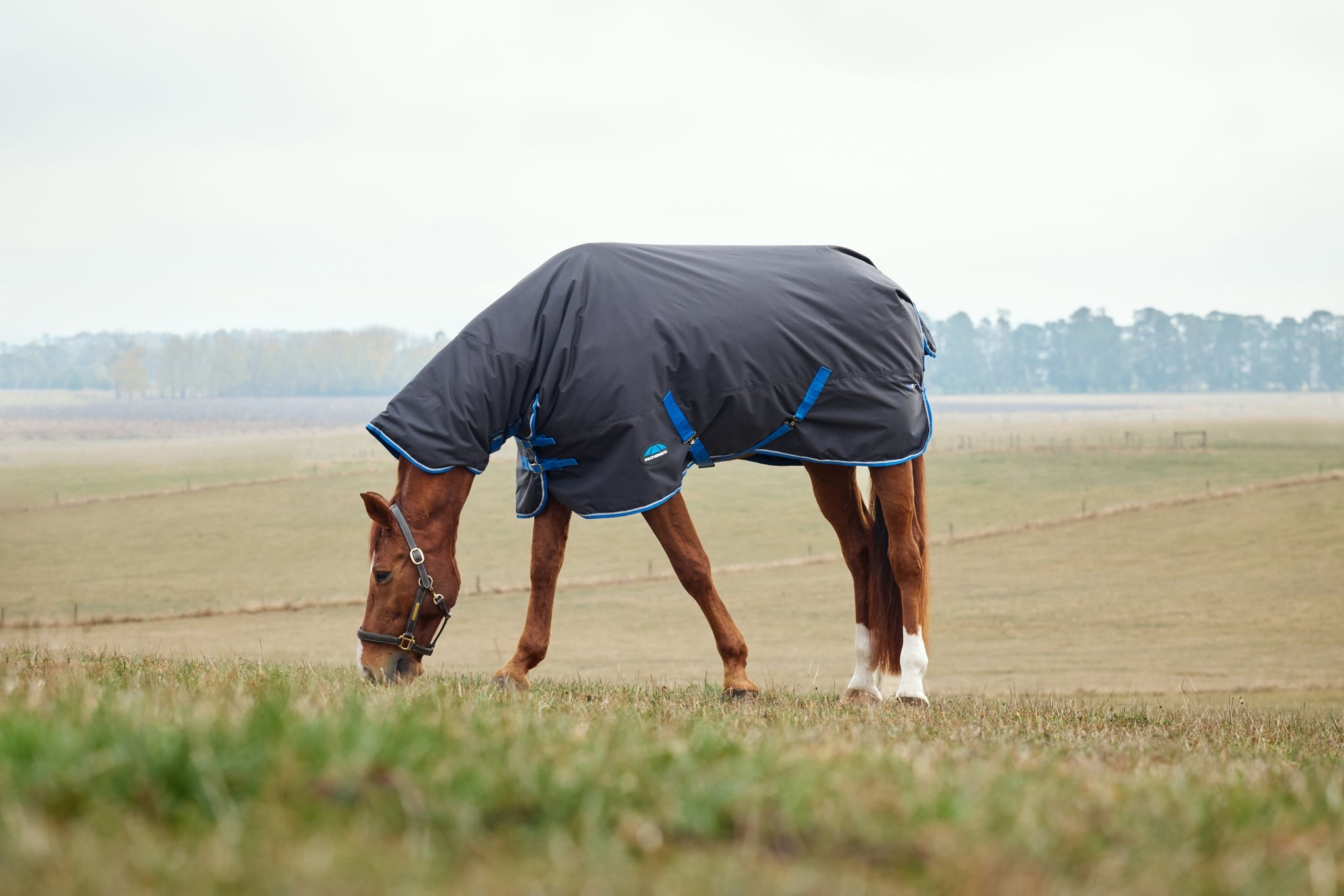 Weatherbeeta ComFiTec Tyro Turnout Combo Neck 220g