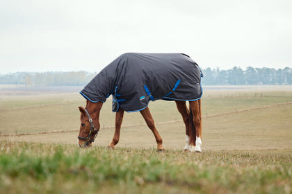 Weatherbeeta ComFiTec Tyro Turnout Combo Neck 220g