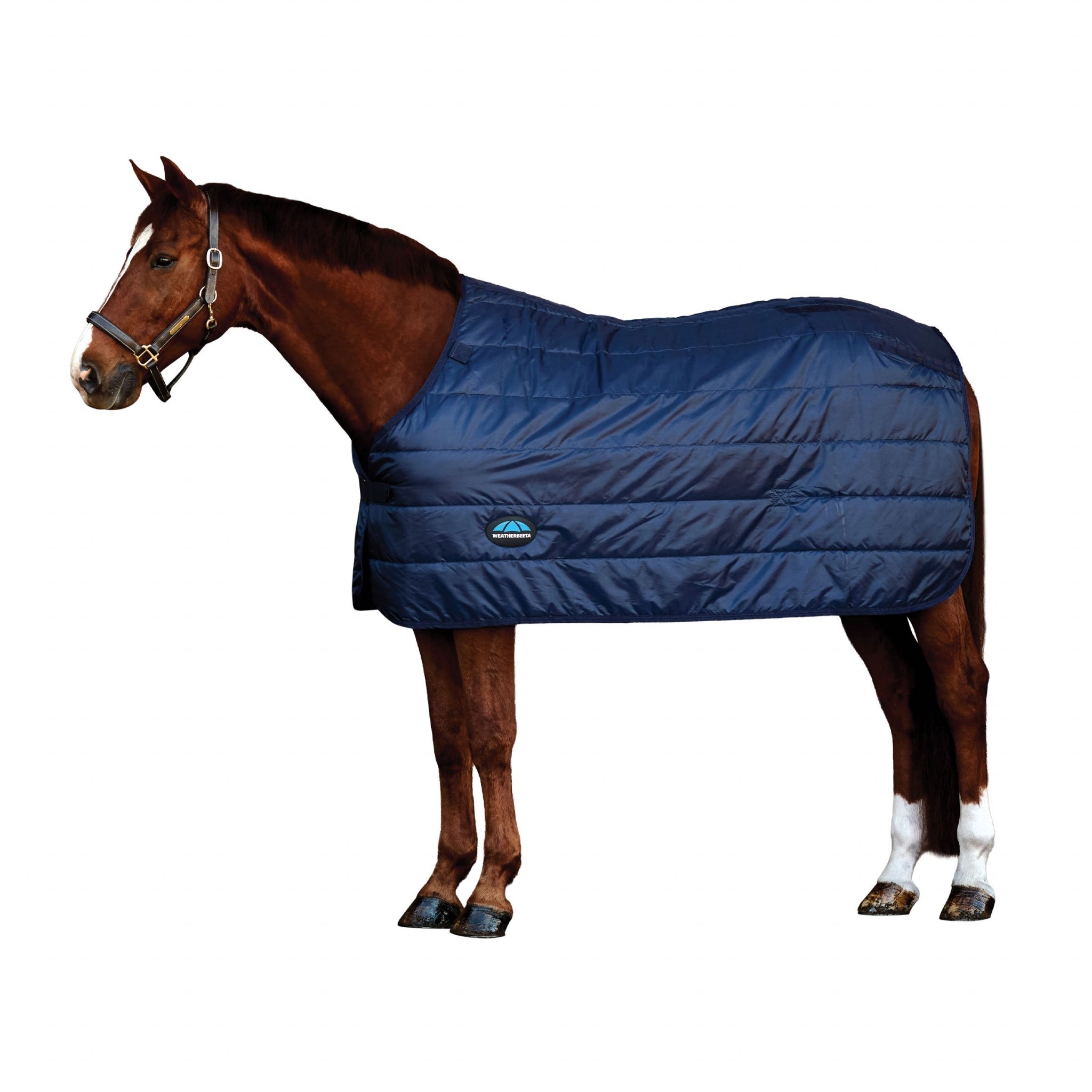 WeatherBeeta ComFiTec Liner 300g