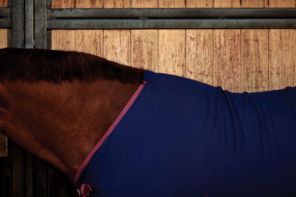 Weatherbeeta Cotton Sheet Standard Neck