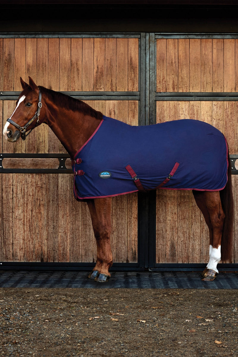 Weatherbeeta Cotton Sheet Standard Neck