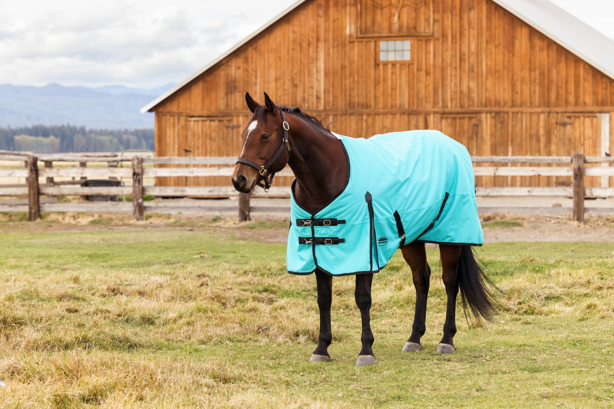 Weatherbeeta ComFiTec Original Turnout Standard Neck 220g