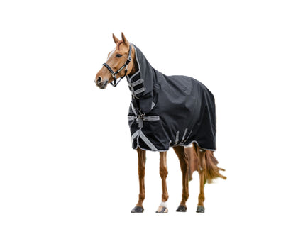 Amigo 1200D Integrated Turnout 250g