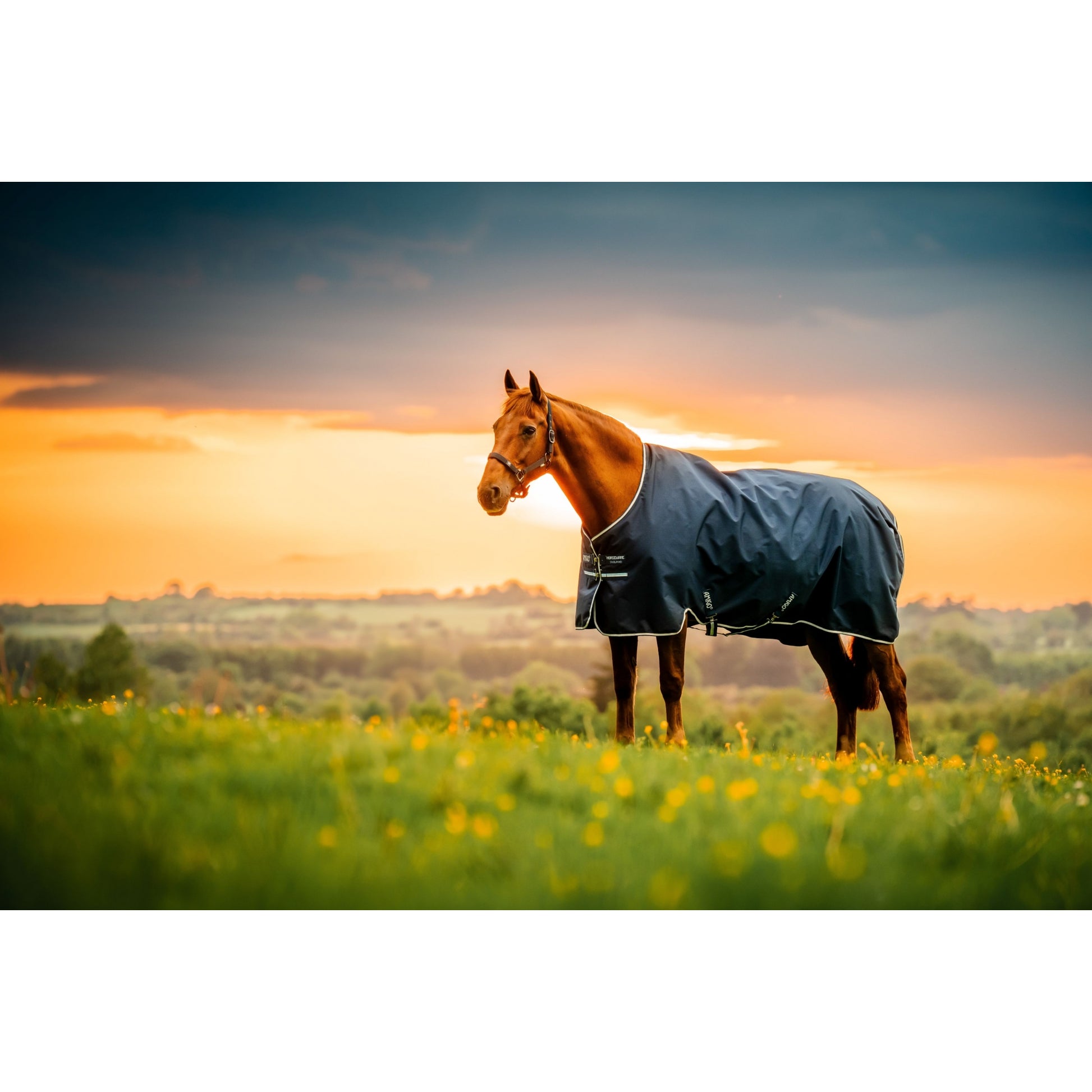 Amigo Ripstop 900D Pony Turnout 200g