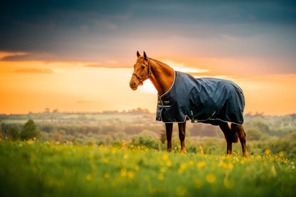 Amigo Ripstop 900D Pony Turnout 200g