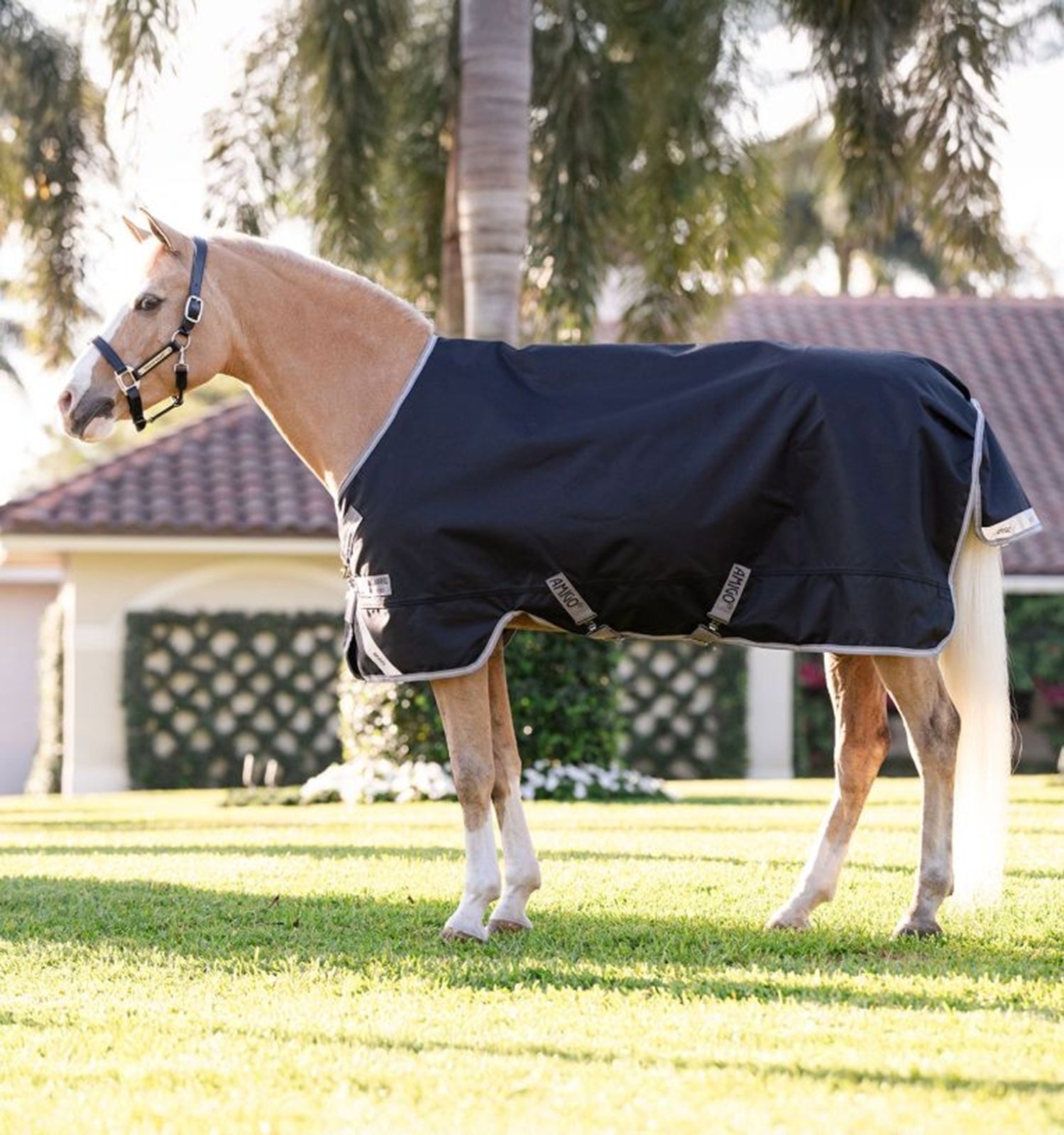 Amigo 1200D Pony Turnout 50g