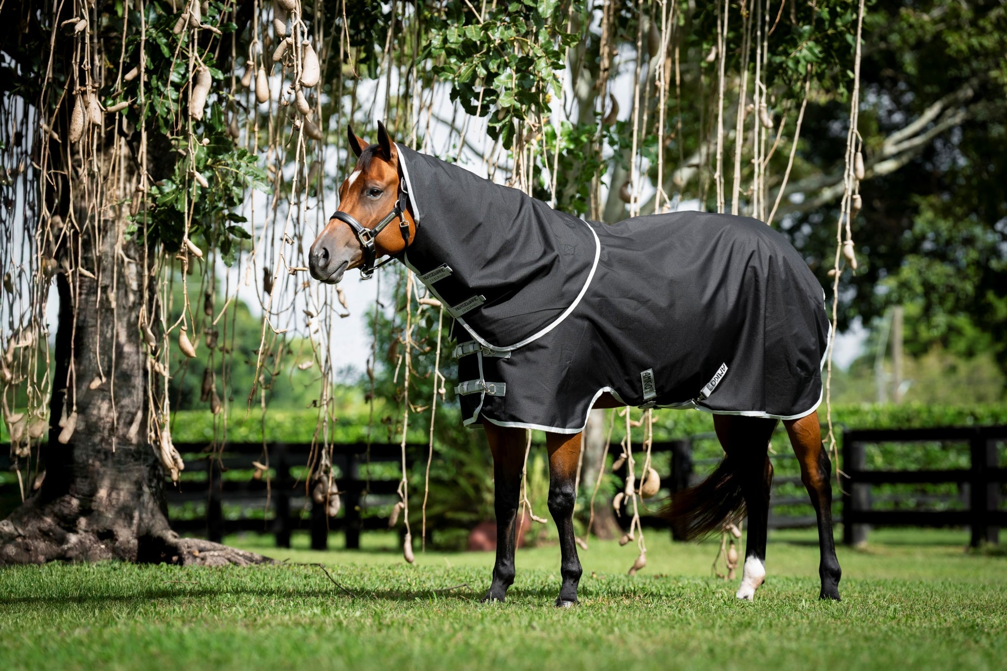 Amigo Ripstop 900D Quarter Horse Turnout Hood 150g