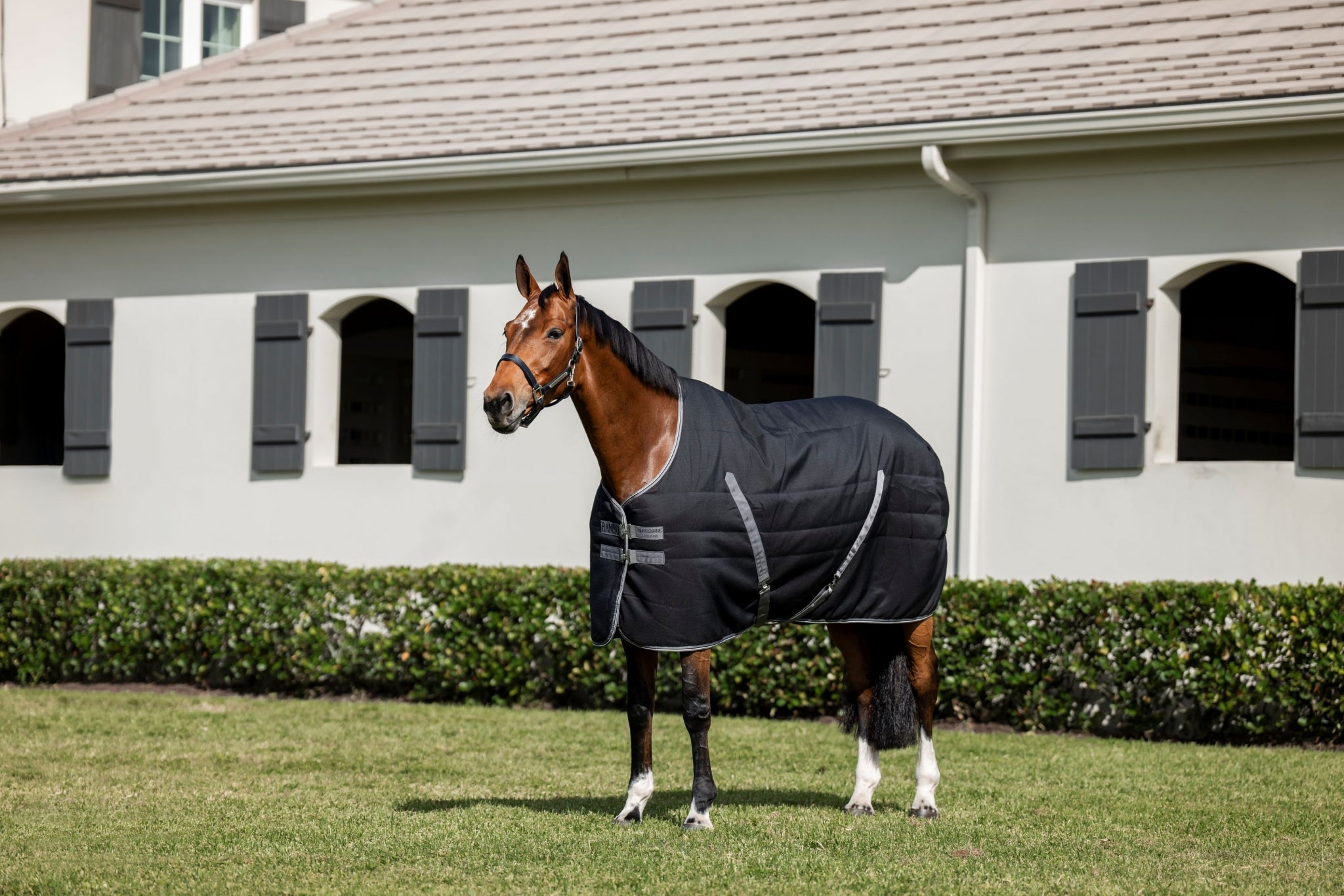 Rambo Stable 200g Embossed Lining