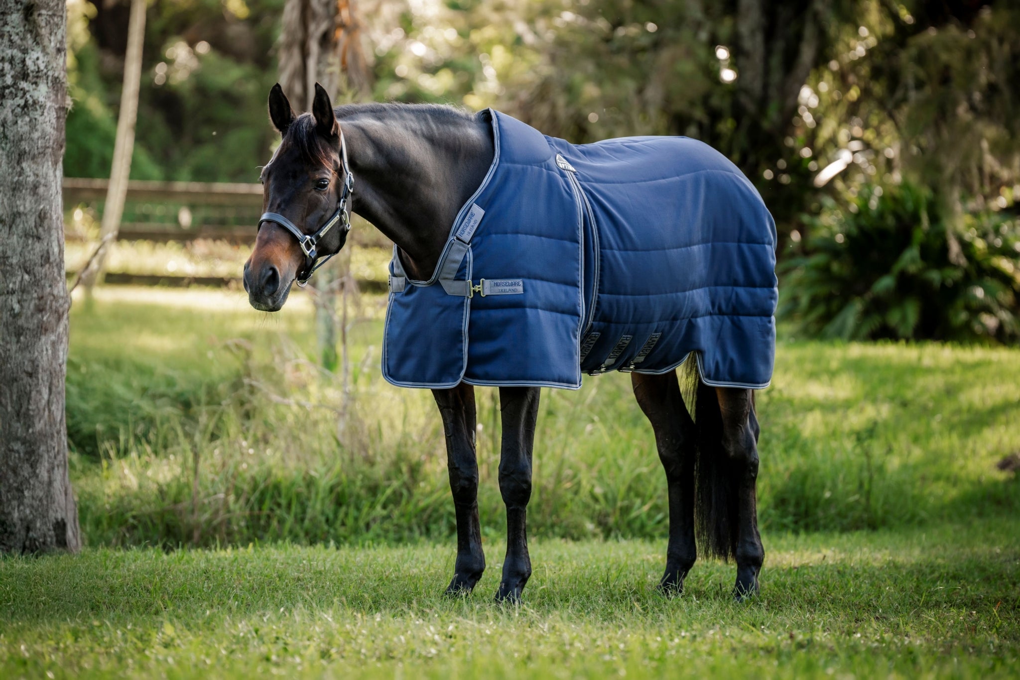 Rambo Optimo Stable 400g