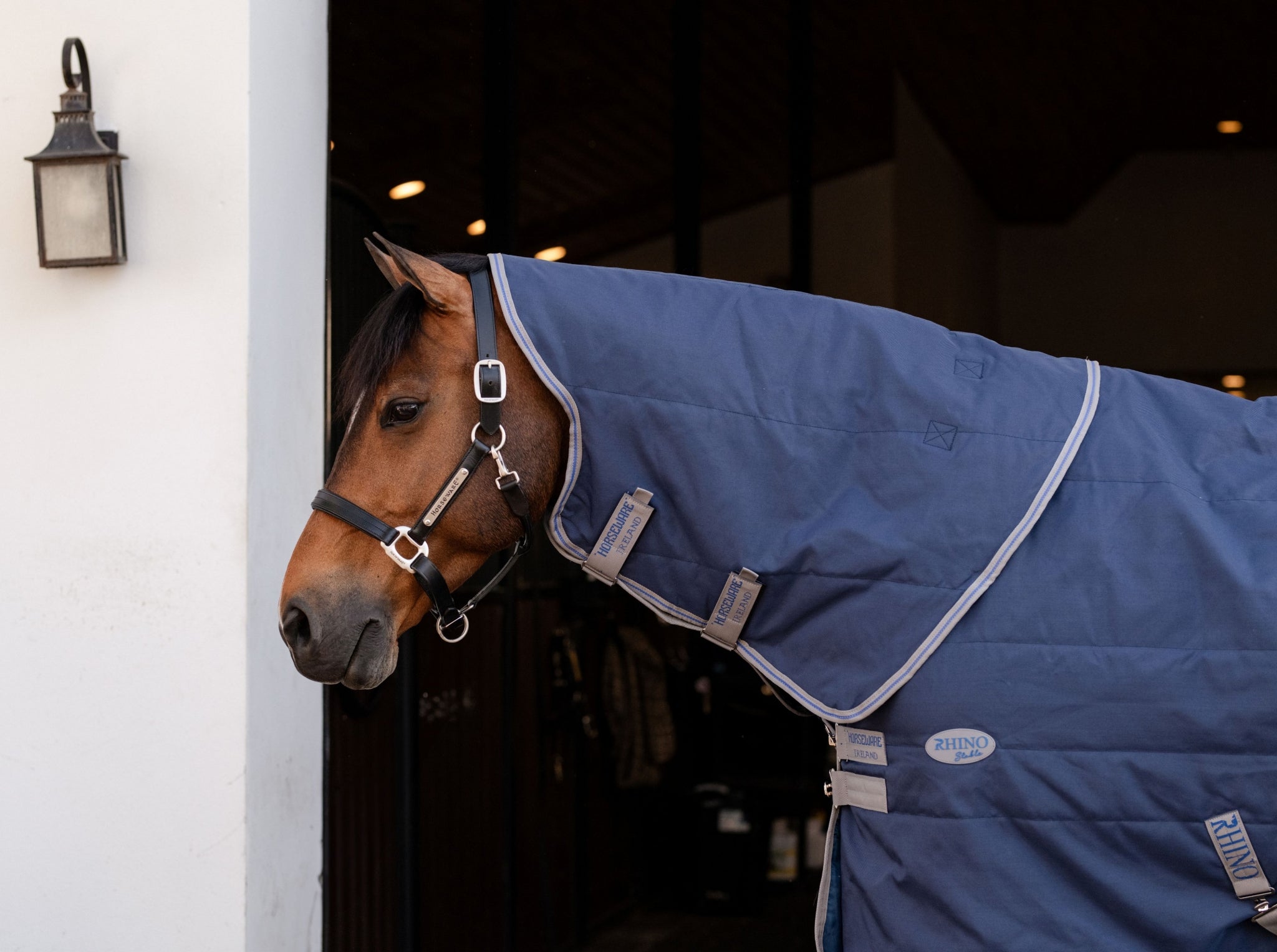 Rhino Stable Hood 100g