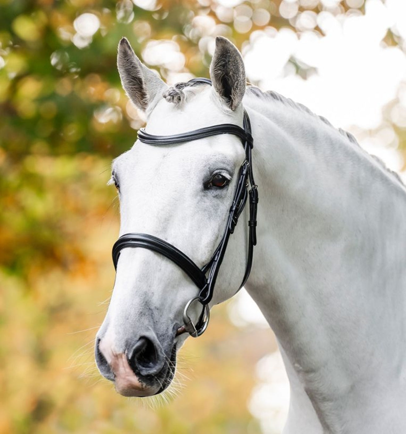 Horseware Cavesson Bridle
