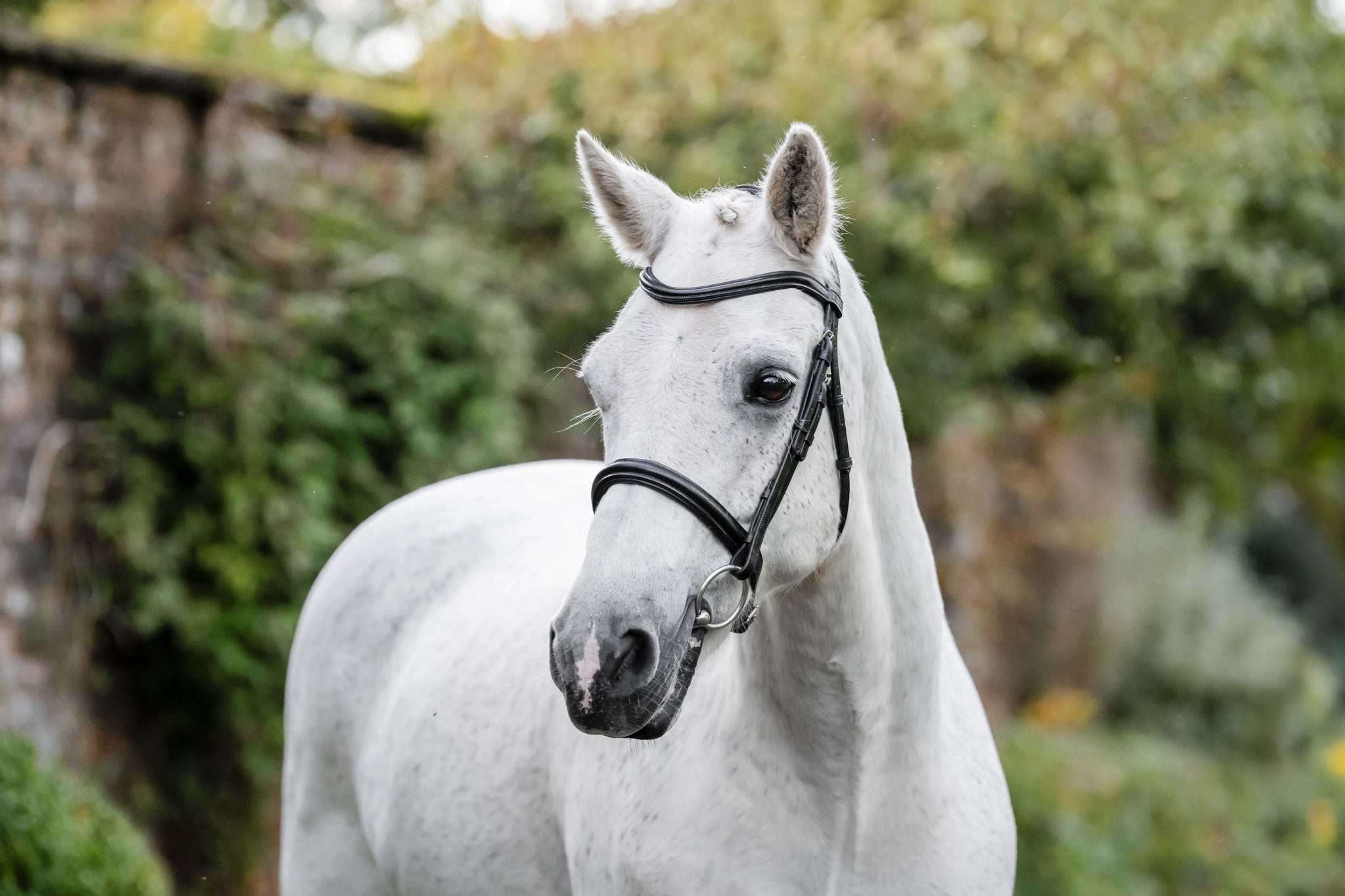 Horseware Pony Cavesson Bridle