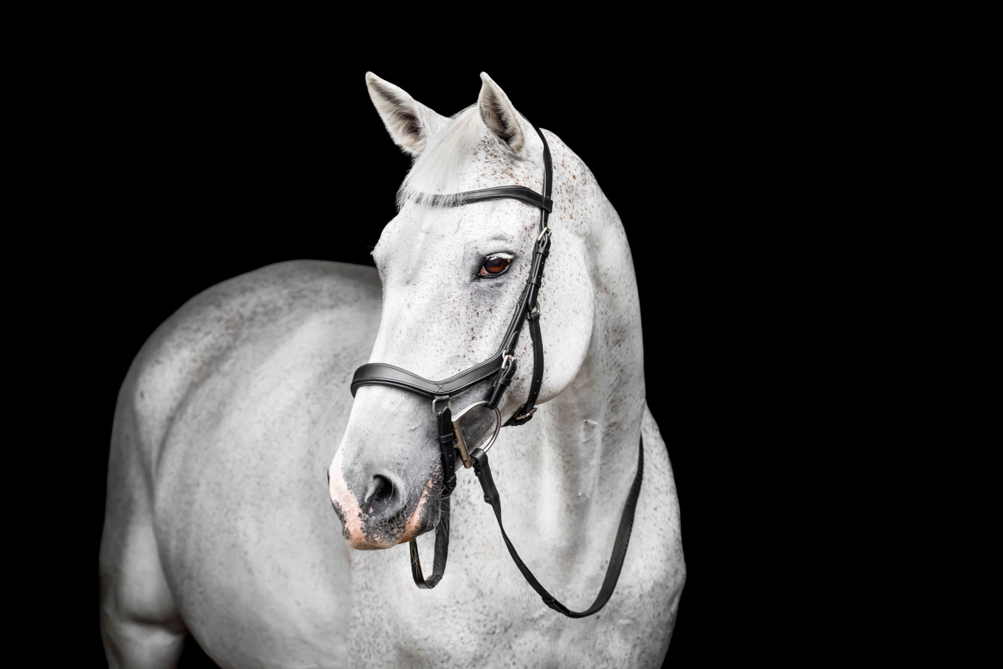 Horseware Micklem Deluxe Competition