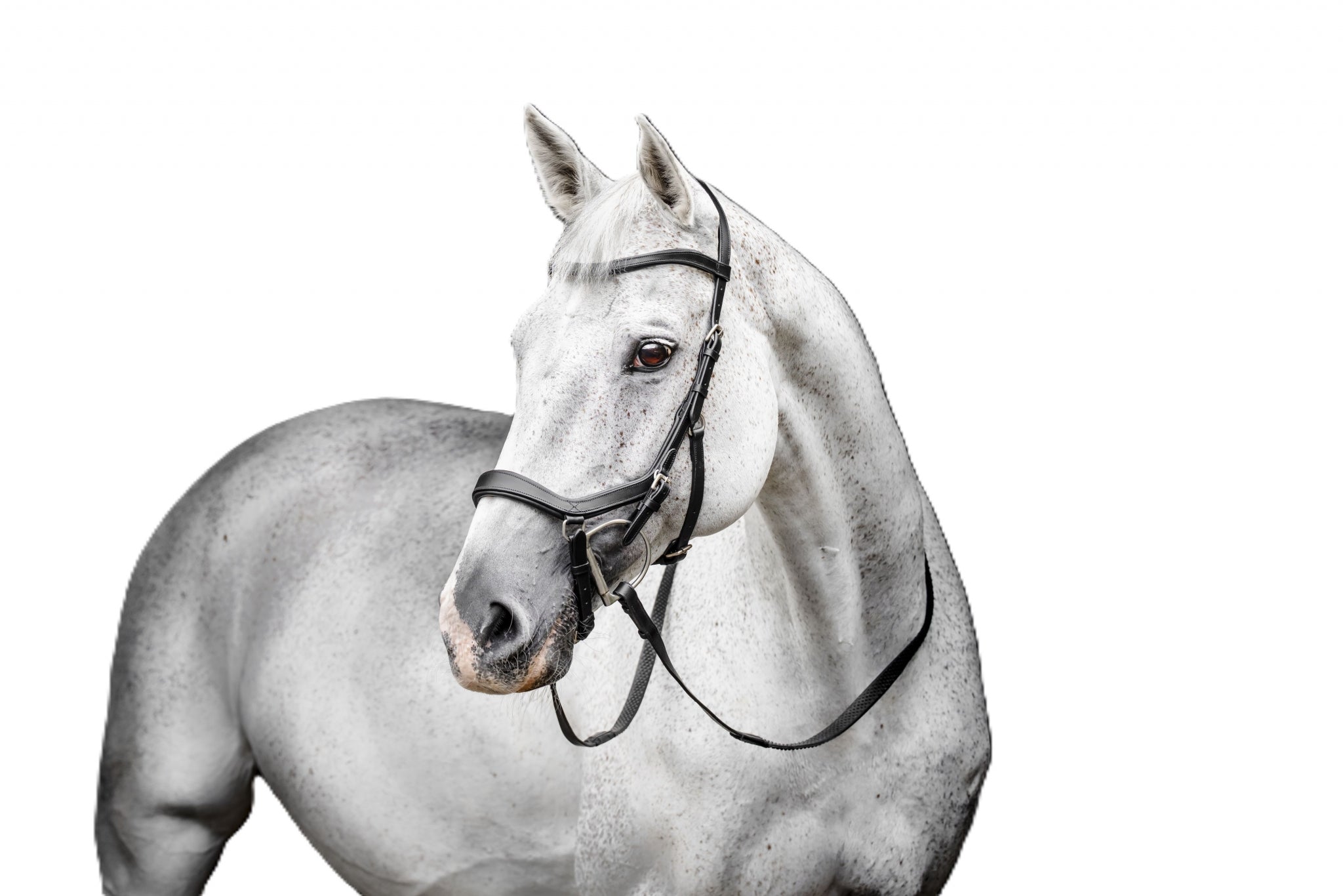Horseware Micklem Deluxe Competition