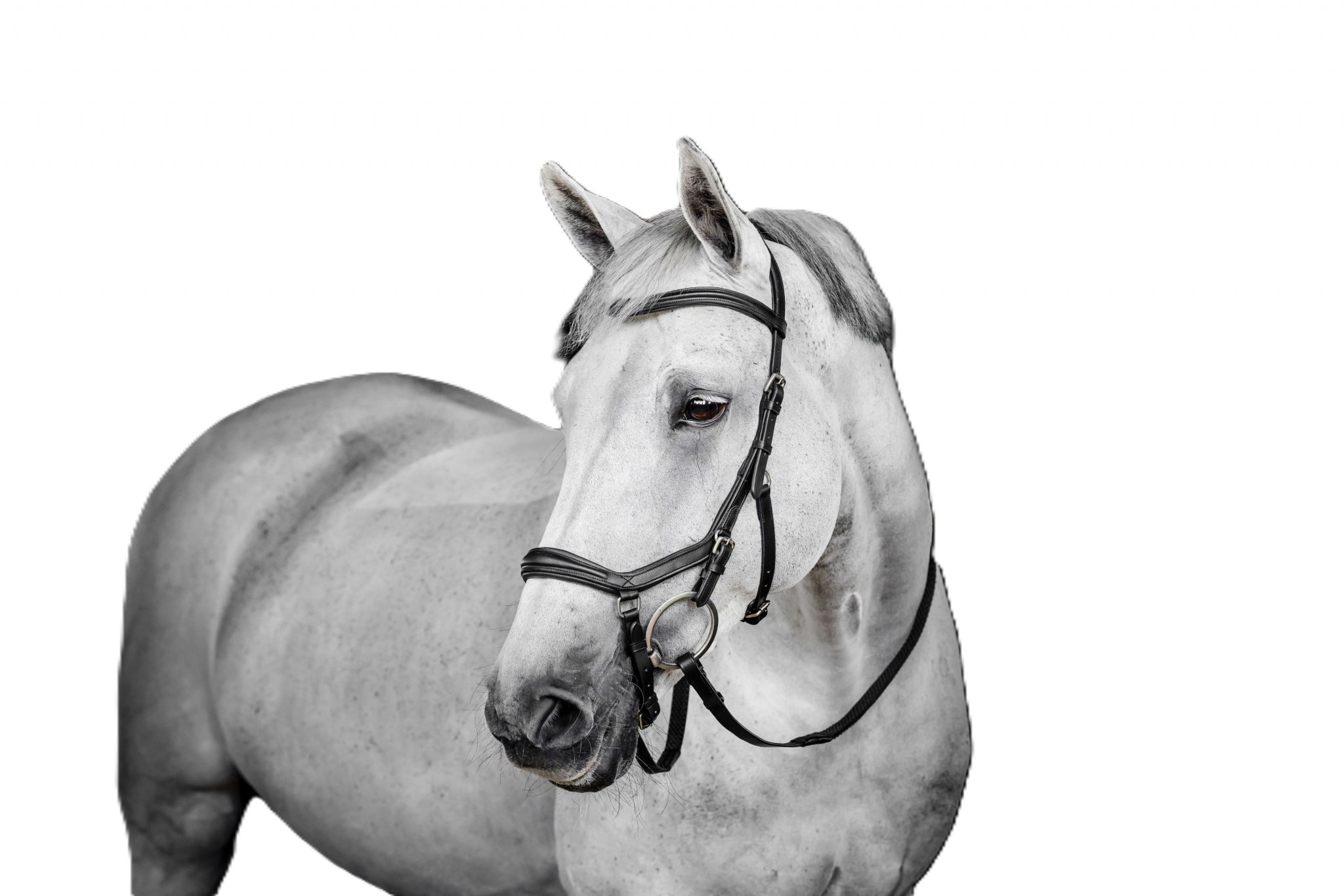 Horseware Micklem Deluxe Competition