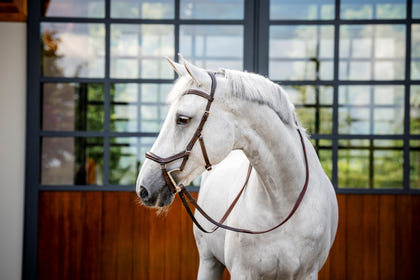 Horseware Micklem Deluxe Competition