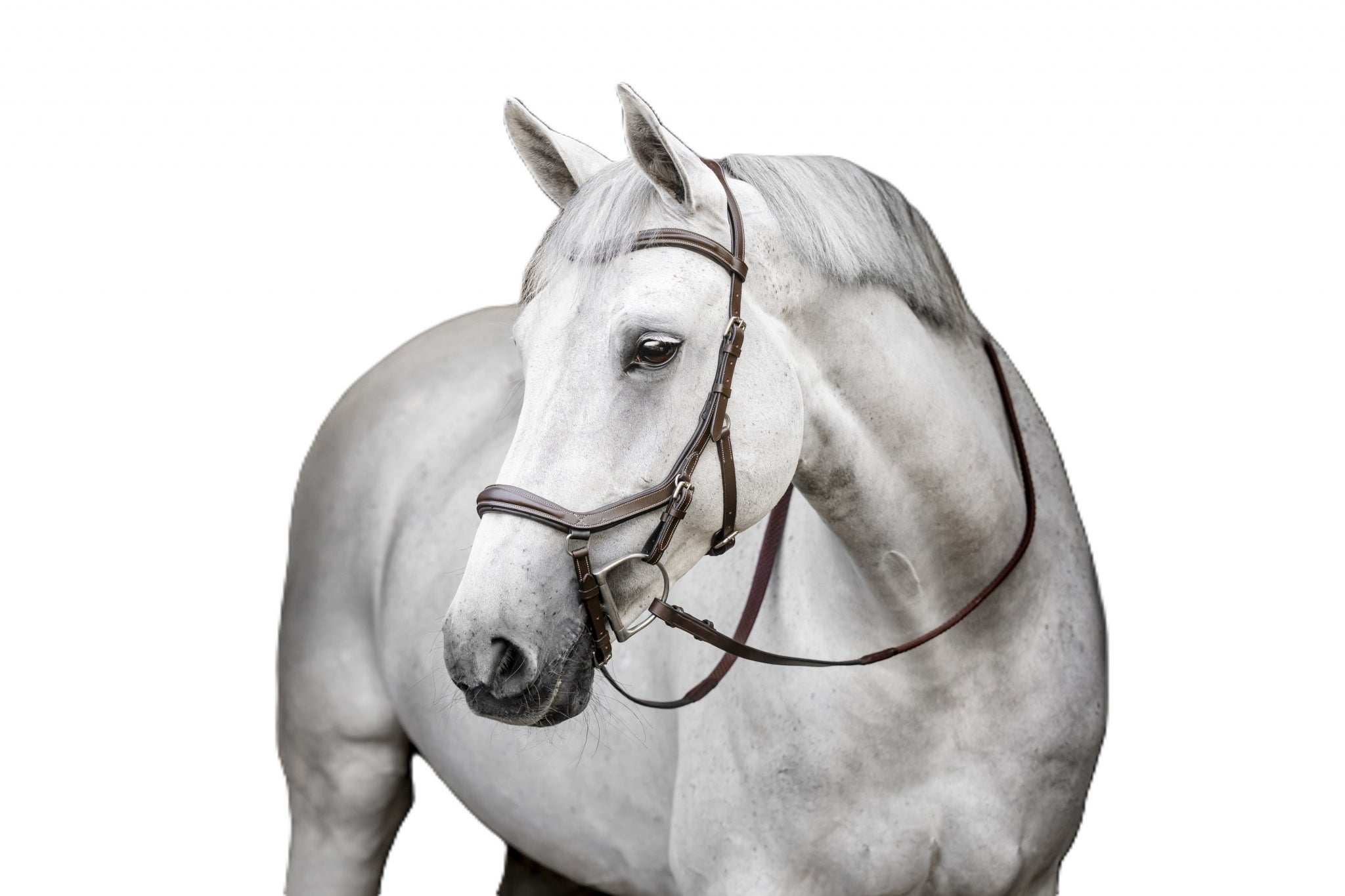 Horseware Micklem Deluxe Competition