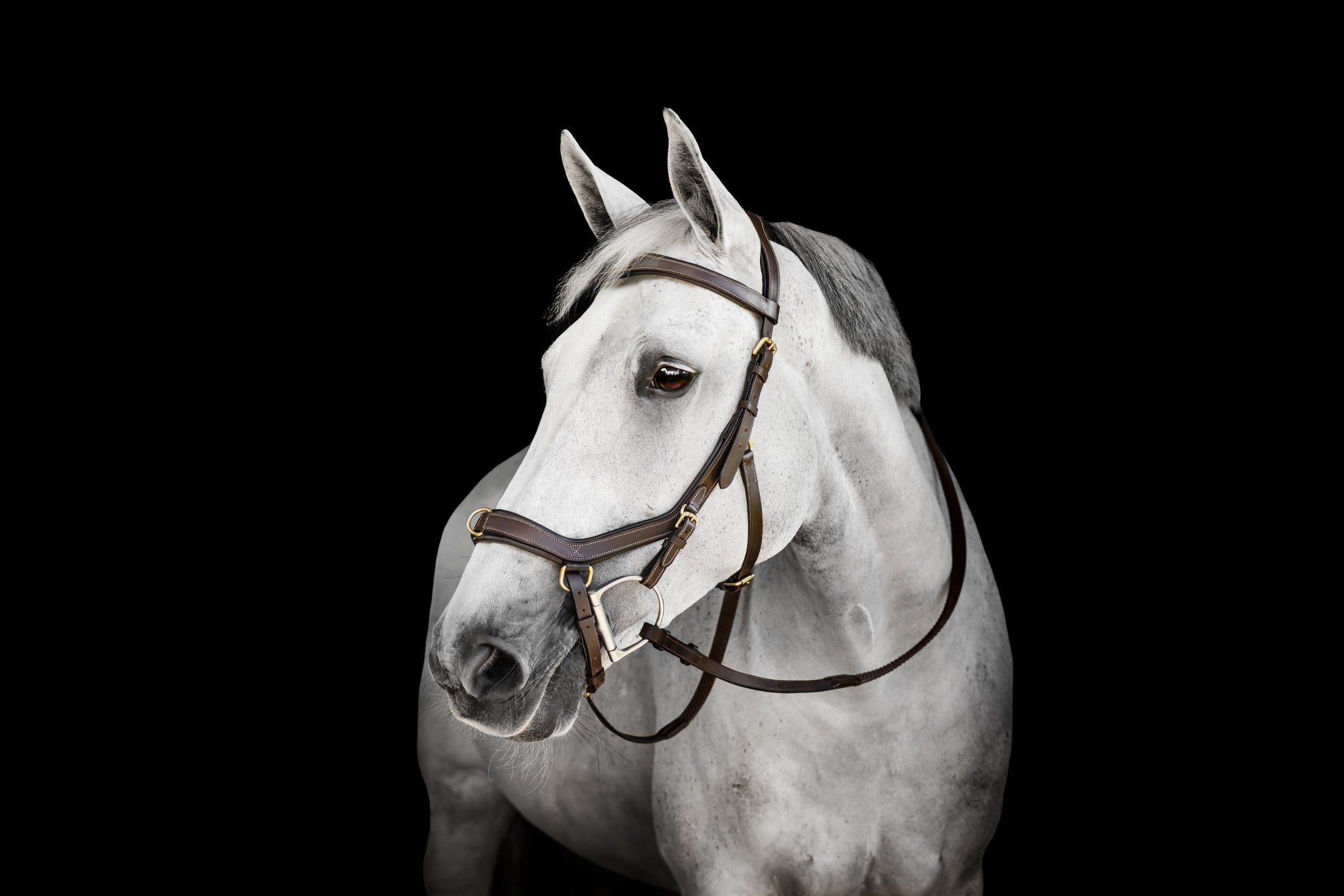 Horseware Micklem Multi Bridle